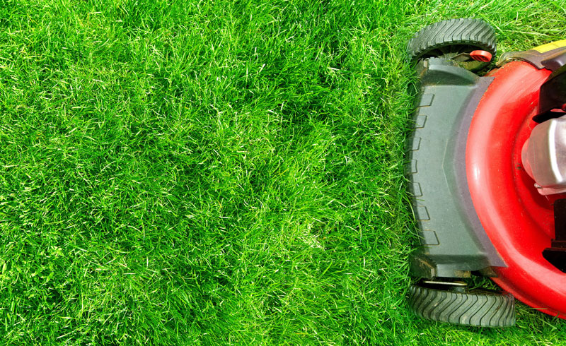 Lawns